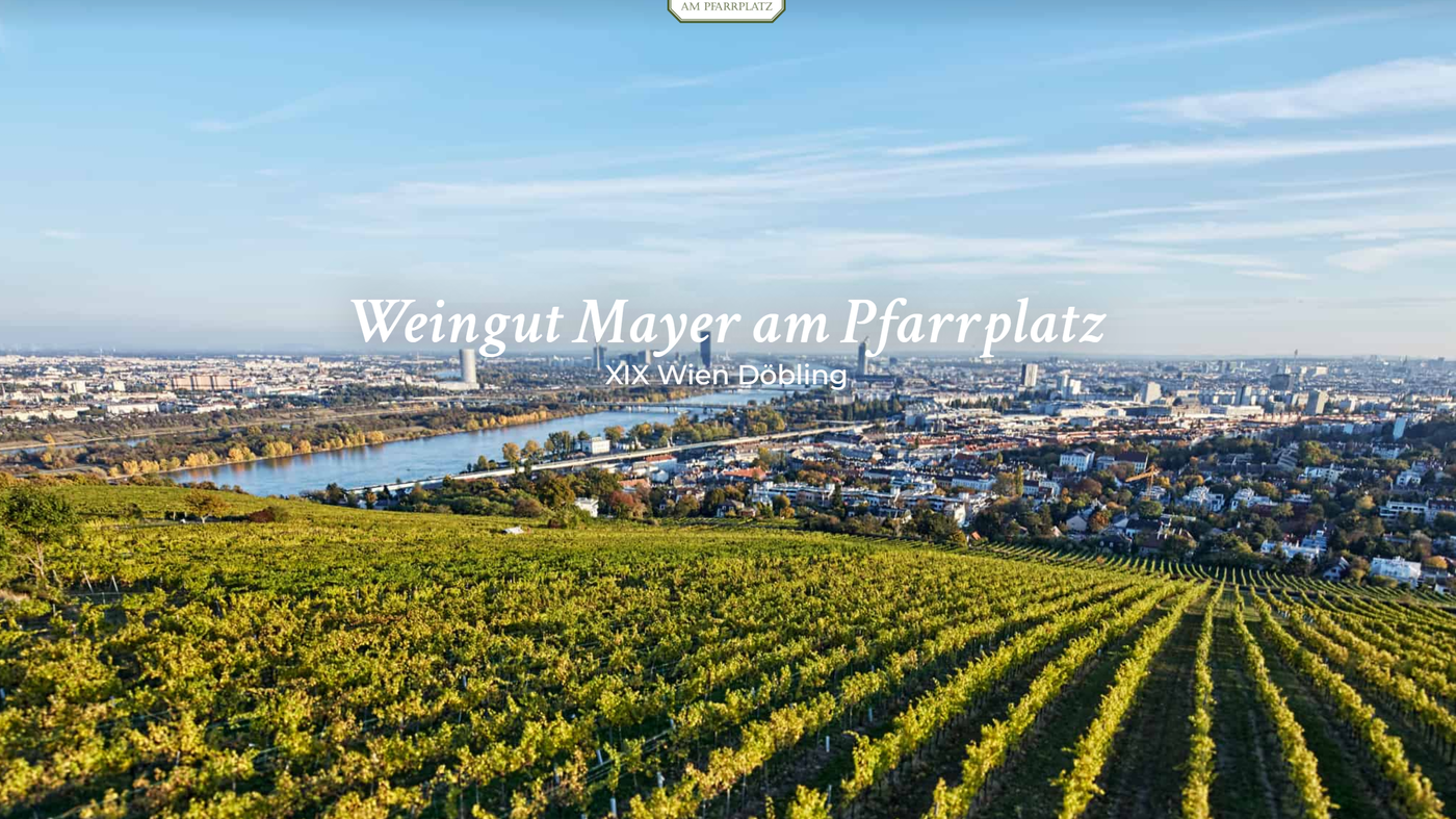 Weinagentur BELY