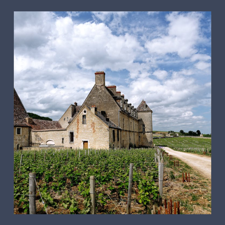 Weinagentur BELY