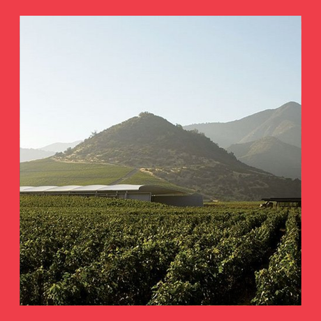Weinagentur BELY