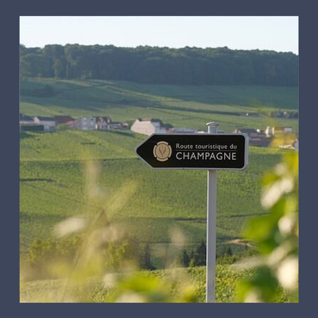 Weinagentur BELY