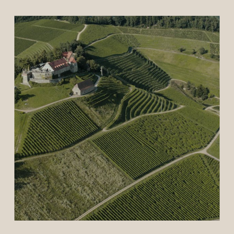 Weinagentur BELY