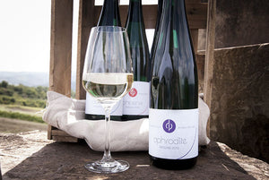  Saarweingut Weber Brüder 