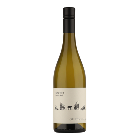 Weinagentur BELY