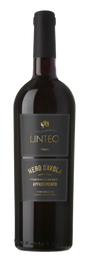 Cantine Francesco Minini - Linteo Nero d'Avola Appassimento Sizilia DOC