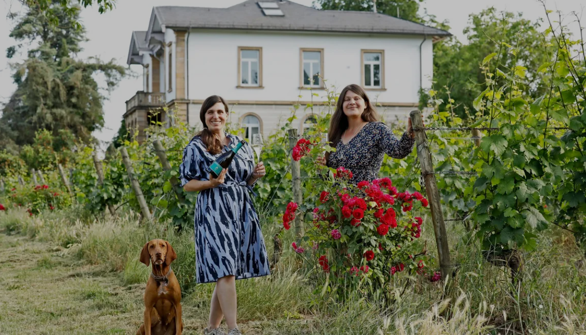 Weinagentur BELY