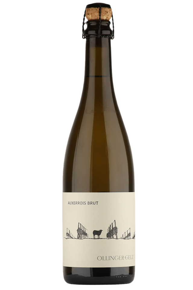 Weinagentur BELY