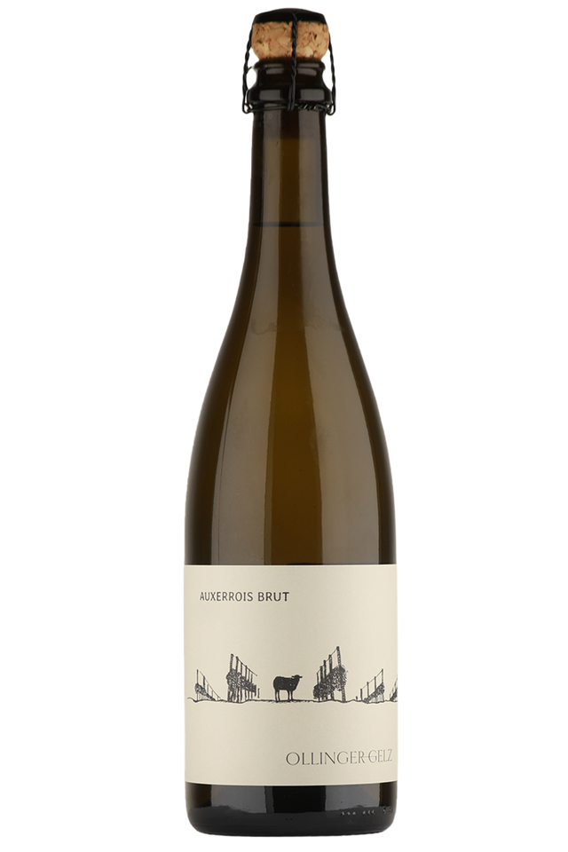 Weinagentur BELY