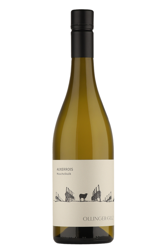 Weinagentur BELY