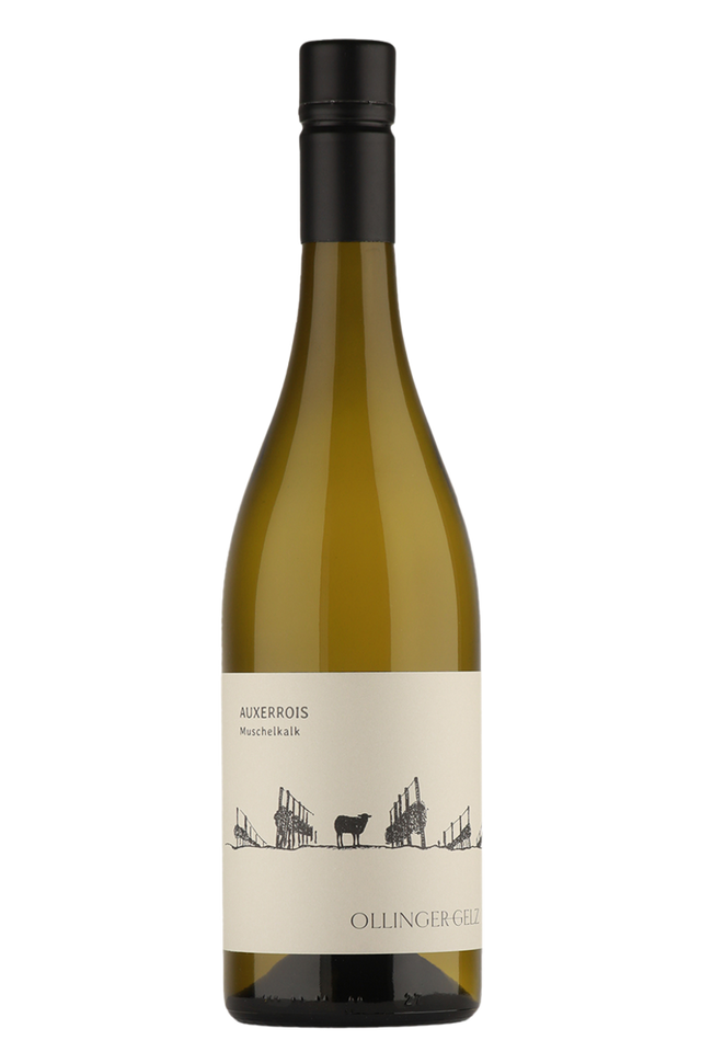 Weinagentur BELY