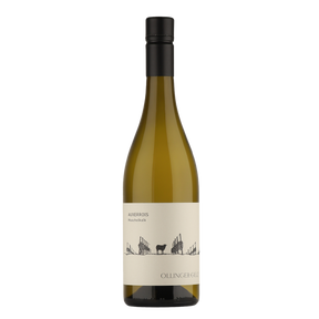 Ollinger-Gelz - Auxerrois Muschelkalk - Weinagentur BELY