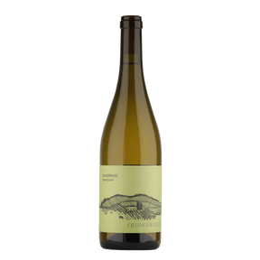 Ollinger-Gelz - Auxerrois Sehndorf - Weinagentur BELY