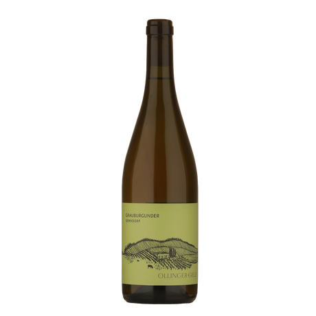 Ollinger-Gelz - Grauburgunder Sehndorf  
