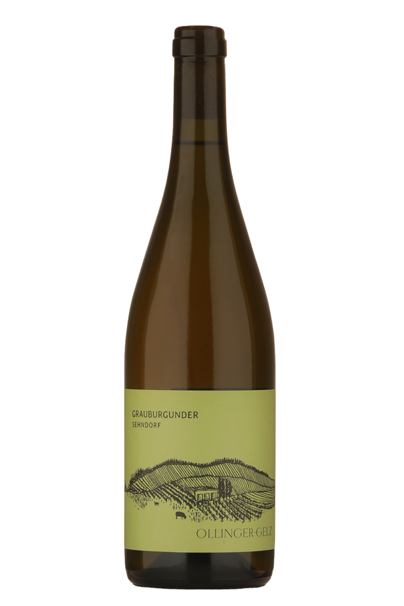 Ollinger-Gelz - Grauburgunder Sehndorf