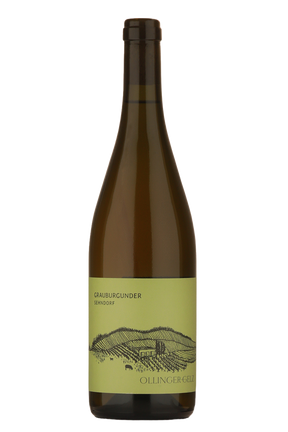 Ollinger-Gelz - Grauburgunder Sehndorf