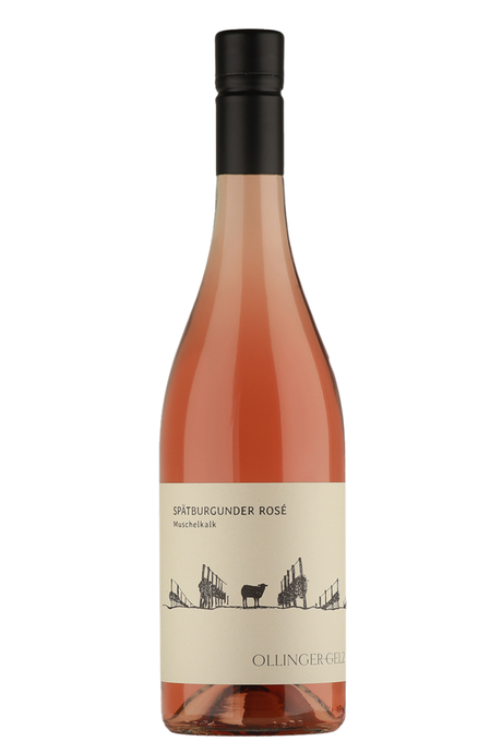  Ollinger-Gelz - Spätburgunder Muschelkalk Rosé