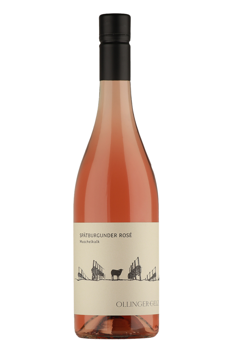 Ollinger-Gelz - Spätburgunder Muschelkalk Rosé
