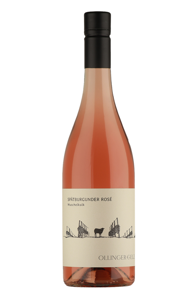 Weinagentur BELY