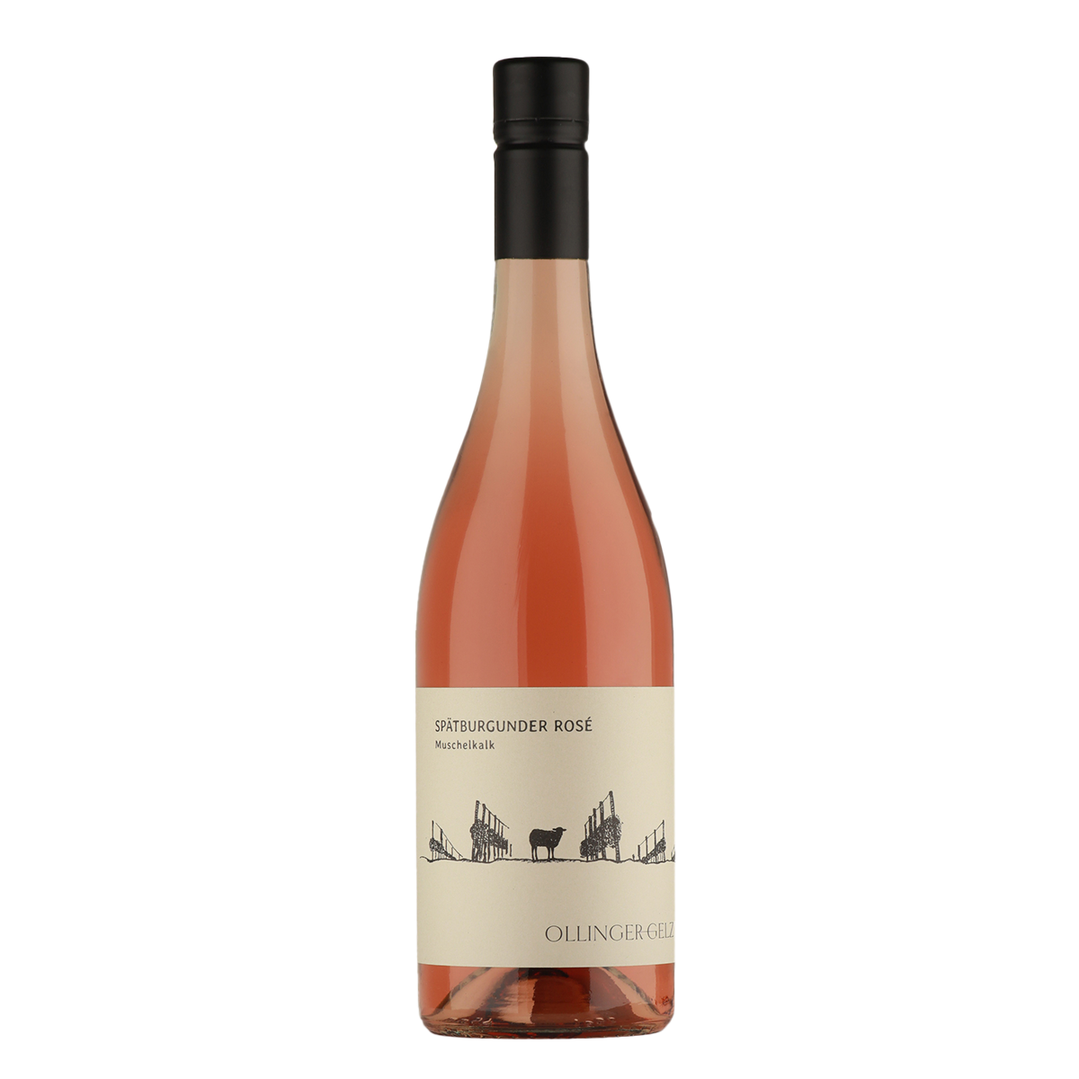 Weinagentur BELY