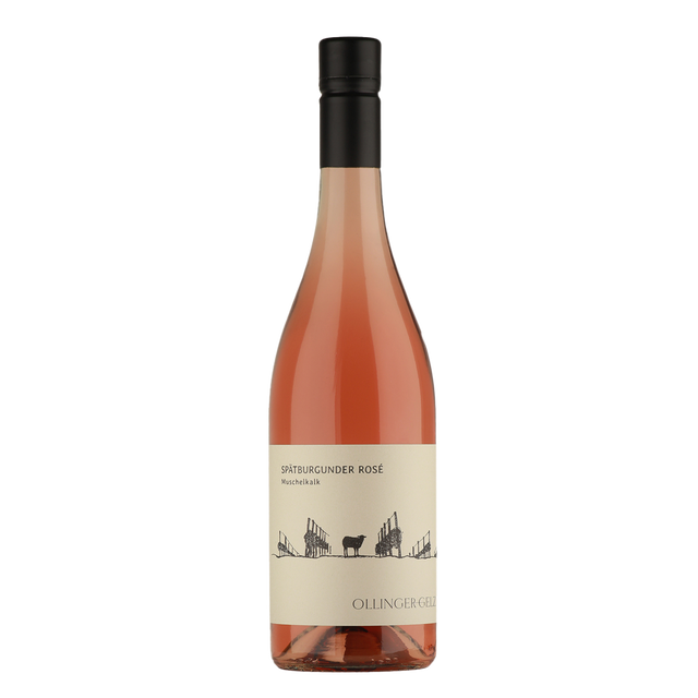 Ollinger-Gelz - Spätburgunder Muschelkalk Rosé - Weinagentur BELY
