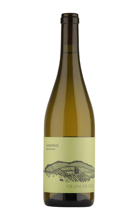 Ollinger-Gelz - Auxerrois Sehndorf