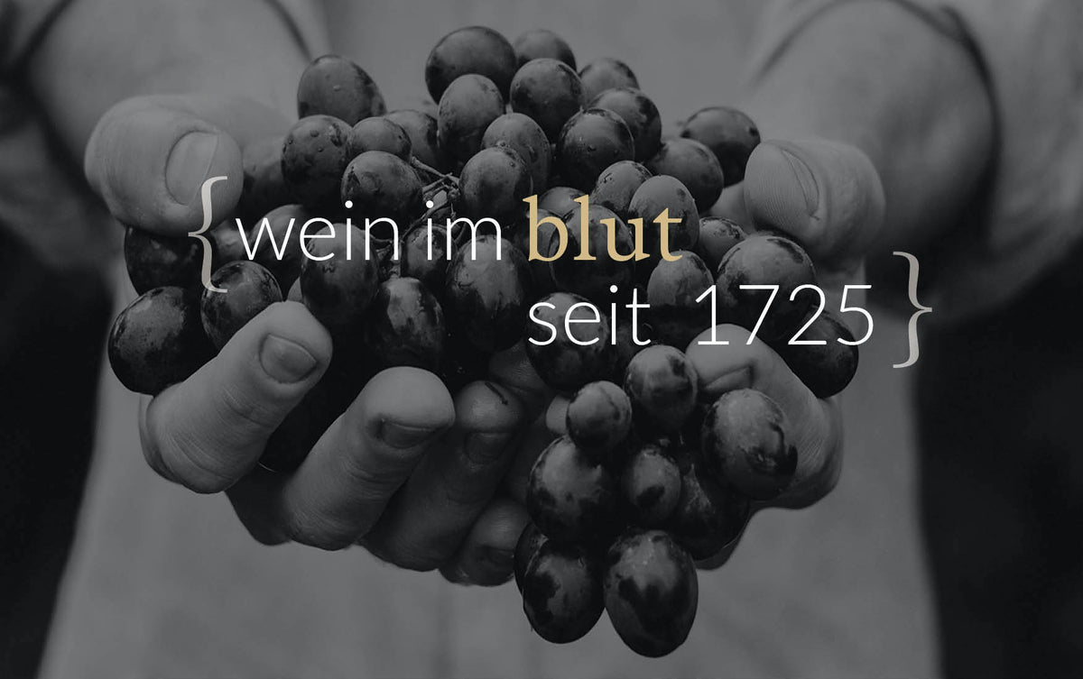 Weinagentur BELY
